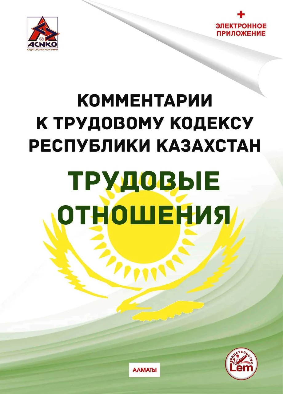 Комментарии к Трудовому кодексу РК  на 11.02.2024 г. Трудовые отношения.(+Эл. приложение)